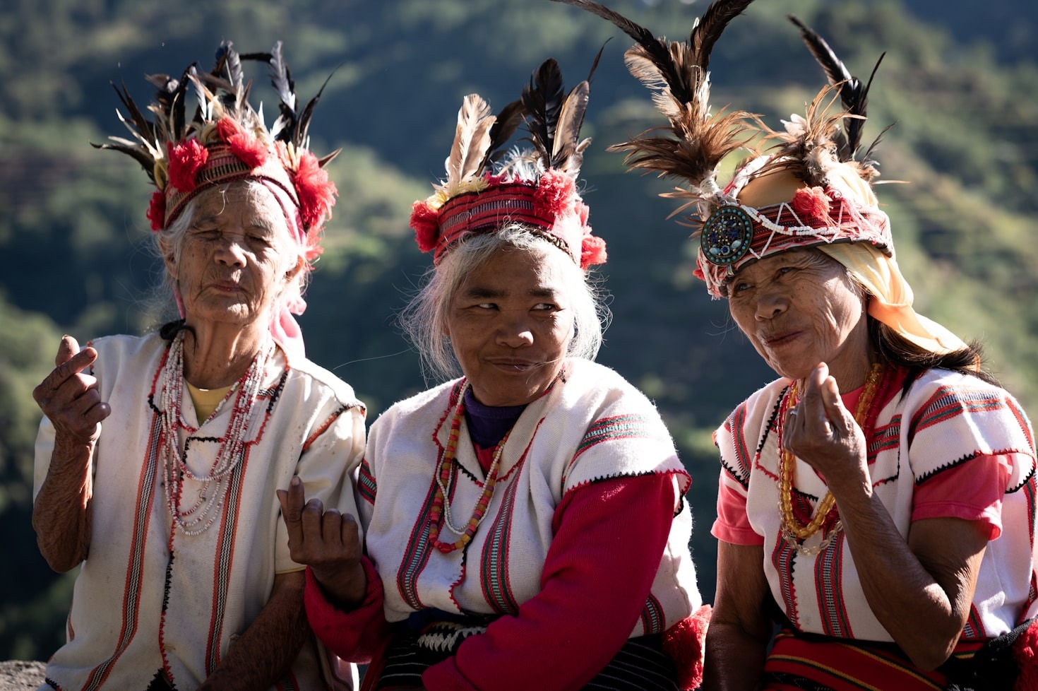 Celebrando la diversidad a través de actividades culturales